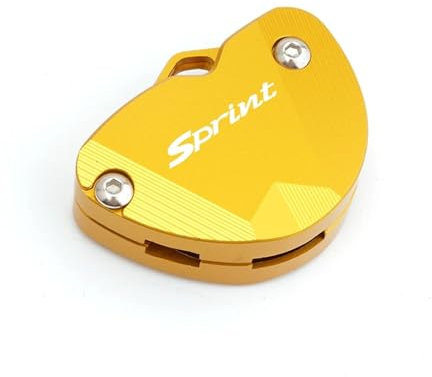 BOLNEY schlüsselanhänger Motorrad,schlüsselanhänger,Duke Für Piaggio Vespa Enrico Primavera Sprint 50cc Universal Motorradzubehör Schlüsselhülle Hülle Shell Schlüsselanhänger (Color : C Glod)