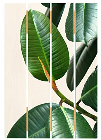 Bilderwelten Holzbild - Gummibaum - Hochformat 3:2 70cm x 48cm