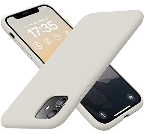 RAIZUS iPhone 11 Case, Silicone Phone Case with Slim Shockproof Soft Anti-Scratch Microfiber Lining Phone Case, 6.1 inch, White Stone