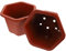 TOYANDONA Lot De 2 Pots De Fleurs Hexagonaux en Plastique Rouge pour Plantes D'Intérieur Et Petites Pépinières
