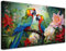 Feeby - Impression sur Toile - Tableau Decoration Murale - Jungle tropicale colorée Perroquets - 80x40 1partie - Salon Peinture Tableaux - Moderne Reproductions Tableaux - Décoration Chambre