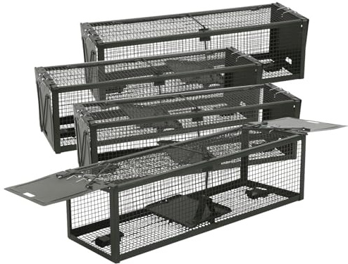 Exbuster Lebendfalle Nager: 4er-Set XXL-Lebendfallen für Mäuse und Ratten, 39 x 12,5 x 10,7 cm (Tierfallen, Fallen für Ratten, Maus)