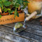 RHS Stainless Planting Trowel - FSC 100%