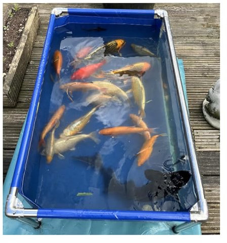 KUANGGE Grande Acquario in PVC/Tela - Piscina con Finestra, Rivestimenti per laghetti con Telaio in Acciaio Inox, Vasca di contenimento Flessibile per Tartarughe, Koi e Pesci Rossi, Facile da montar
