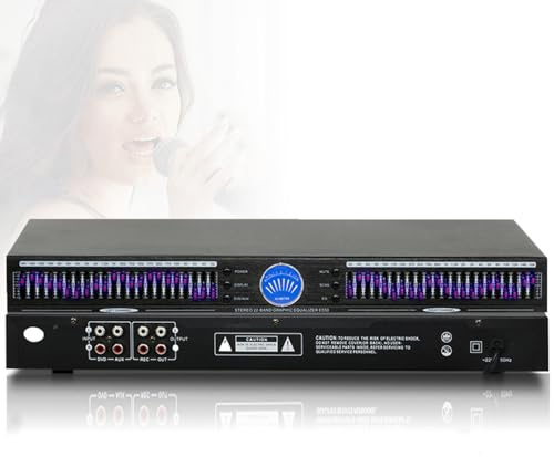 XDTKJDZ Stereo Graphic Equalizer, 22-Band Dsp Audio Equalizer, with 12 Adjustable Frequency Bands, 10 Preset Effects, Automatic Noise Reduction, for Recording Studio