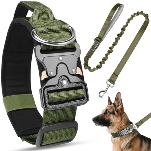 Viugex Ensemble Collier et Laisse pour Chien, Collier de Chien Tactique Militaire avec Poignée et Boucle en Métal, Réglable Nylon Collier pour Petits, Moyens et Grands Chiens (Vert Armée, M)
