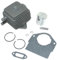 ICOOYO Zylinderkolben-Set für 25CC MTD Ryobi Troy-Bilt Yard-Man Bolens Cub Cadet Yard Maschinen McCulloch Craftsman 753-1206 753-04814 181622 791-180063 753-04111