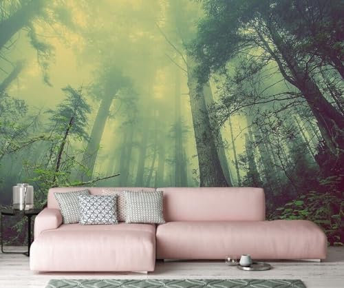 Anpassen Tapeten Wandbild Natürliche Landschaft Tapete Art Deco Wald im Nebel Tapete Jungen Fototapeten für Schlafzimmer Wanddekoration 400x280cm