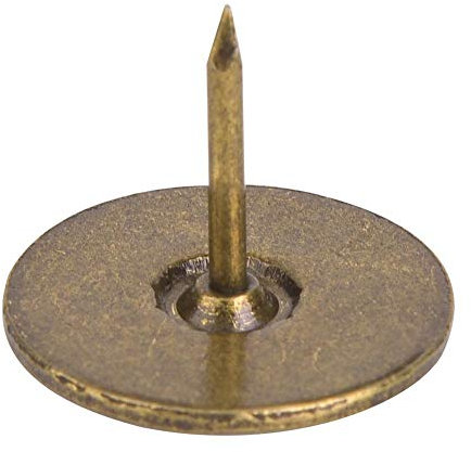 Garosa 100Pcs Upholstery Nail Flat Head Nail Heads Trim for Upholstery Studs Tacks Pins for Furniture Sofa Door Decoration(19 x 15mm)