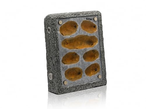 Formicarium Ameisennest Ameisenfarm in Granitoptik für Ameisen