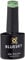 Bluesky Gel Polish, Lush Tropics, 80579, 10 ml, Gel Soak Off Nail Polish, Green, Pastel, Pale (Need to Cure Under UV/LED Lamp)