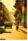 Komar Wandbild | Cuba Streets | Poster, Bild, Wohnzimmer, Schlafzimmer, Dekoration, Kunstdruck | ohne Rahmen | P122A-50x70 | Größe: 50 x 70 cm (Breite x Höhe), Bunt