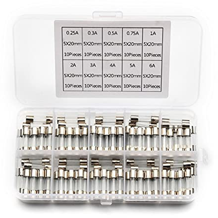 WEREVU Sicherungen 100 Stück/Set 5 x 20 mm Glasrohrsicherungen Set Quick Blow Glasrohrsicherungsset 0,25/0,3/0,5/0,75/1/2/3/4/5/6 A 250 V mit Kastensicherungen