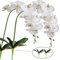 FagusHome 2 Piezas Flores Artificiales Orquídea Phalaenopsis Mariposa 105cm con 2 Piezas Hojas de Orquídea Phalaenopsis Hojas (2)