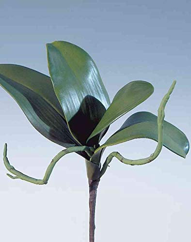 artplants.de Foglie Artificiali di Orchidea phalaenopsis DORTE, Radici aeree, 25cm - Orchidea Finta - Foglia Decorativa