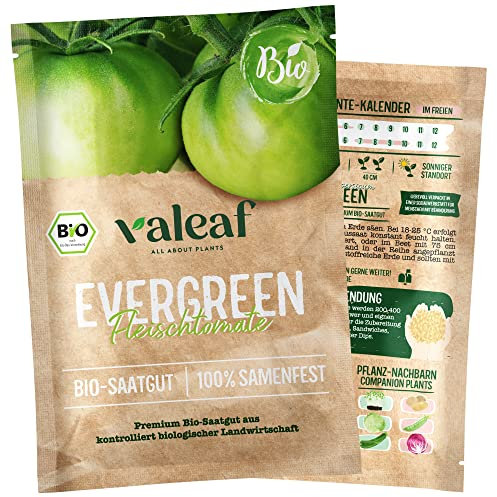 valeaf BIO Tomaten Samen Evergreen Fleischtomate I Premium Tomatensamen zur Tomaten Anzucht im Garten, Balkon und Hochbeet I samenfestes Tomaten Saatgut I Pflanzen Samen zum Tomaten Pflanzen