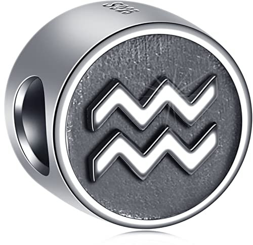 Wassermann Sternzeichen Charms passen Pandora Valentinstag Armband, antike 925 Sterling Silber Geburtstag Stern Zeichen Perlen, 12 Konstellation Charm, Geschenke für Paar/Mädchen/Mama