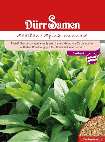 Saatband Spinat Samen Monnopa Spinatsamen 5 m Saatband Korn Saatgut Gemüse Gründüngung Balkon Garten Hochbeet Kübel Dürr Samen