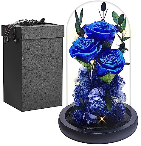PISKEKAT Vrai Rose Eternelle sous Cloche, Femmes Cadeau Anniversaire, Belle Et la Bete Préservée Rose Fleur, Rose sous DôMe, Saint Valentin Fête des Mères Cadeau pour Mère Mamie Petite Amie Femme