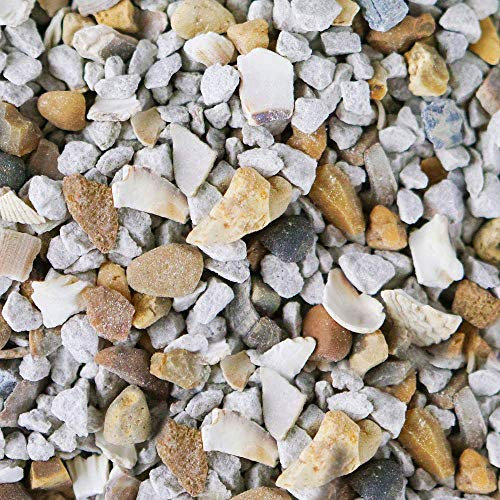 BusyBeaks Mixed Poultry Grit | Premium Quality Natural Feed Mix | Added Oyster Shell | Rich in Vitamins and Calcium | A Nutritious Supplement Food | Strong Beaks, Tough Bones & Large Eggs (10kg)