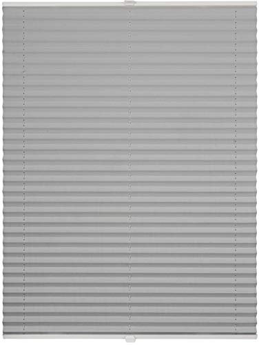 ondeco Plissee nach Maß für alle Fenster innen Montage in Glasleiste mit Spannschuh Sonnenschutz Rollo Sichtschutz Blickdicht Silber B: 61-70 cm, H: 40-100 cm