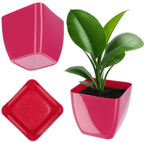 KADAX Pot de fleurs en plastique - Diamètre : 8 à 20 cm - 11 couleurs - Élégant pot de jardin - Protection pour bureau - 8 cm - Amarante