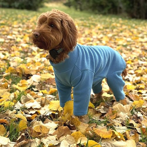 Warm Four-Legged Dog Fleece – Super Soft, Weather-Resistant (Teal, Large)