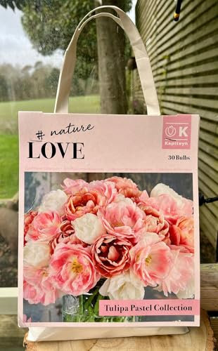 Tulip Bulbs Pastel Collection, 30 Bulbs, Gift for Gardeners