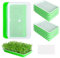 EBaokuup Lot de 10 plateaux de germination de graines avec trous de drainage - Sans BPA - Plateau de germination de plantes de jardin sans terre - Kit de culture de micropousses avec papier de