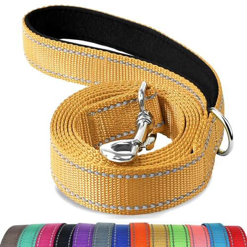 Joytale Double-Sided Reflective Dog Leash, 6 FT/5FT/4 FT, Padded Handle Nylon Dogs Leashes for Walking, Training Lead for Medium & Large Dogs, Brown, 5FT