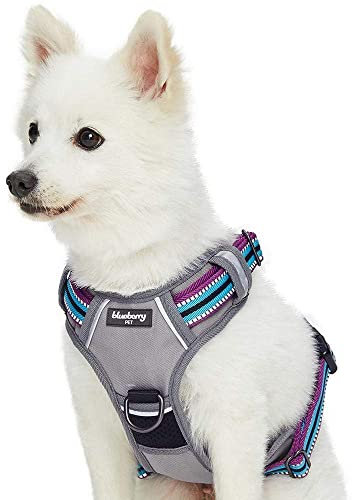 Blueberry Pet New Geschirre 3M Reflektierende Ultimative Sicherheit Zugentlastende Netz Gepolsterte Hundegeschirr Weste in Violett und Himmelblau, Passendes Halsband Separat Erhältlich
