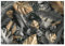 WallArena - Vlies Fototapete Blätter Monstera Pflanzen Tropical 368x254 cm - Fototapeten - Tapeten - für Wohnzimmer Schlafzimmer - Vliestapete Wandtapete Tapete 3D Effekt- inkl. Kleister