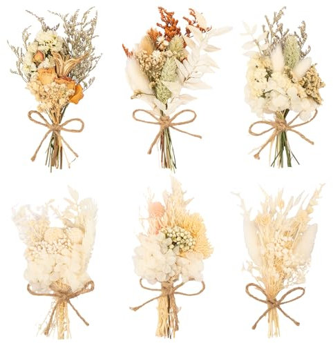 LAUMOE 6 Bündel Trockenblumenstrauß, Trockenblume, Getrocknete Blumen, Trockenblumen Zum Basteln Trockenblumen klein für Bilderrahmen DIY Heim-Party Und Hochzeitsdekoration (Stil 3)