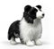 PuffPurrs Lebensechter Border Collie Plüsch, Realistisches Schwarz-Weiß Schäferhund Kuscheltier, Niedliches Hochintelligentes Geschenk, 28 CM/11 Zoll