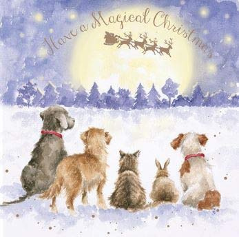 Wrendale Designs by Hannah Dale - The Magic Of Christmas - Gold Foiled Christmas Card - Single