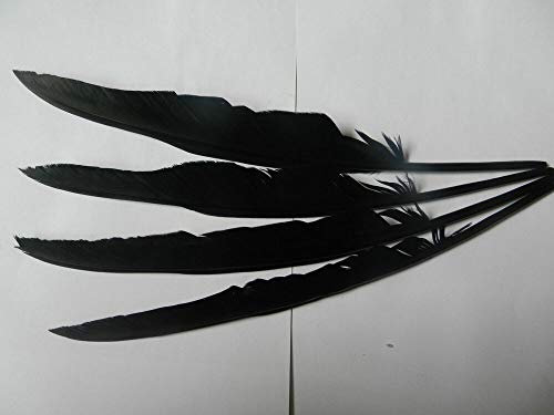 Rabenfedern, handgefertigt, Bastelzubehör, lange schwarze Feder, 30 - 35 cm, 15 Stück, Schwarz