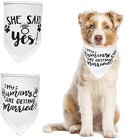 HACRAHO Hunde-Hochzeits-Bandana, 2 Stück, My Humans Are Getting Married Bandana She Said Yes, Hundehalstuch, Dreiecks-Lätzchen, Schal für Hochzeit für kleine, mittelgroße und große Hunde, Weiß