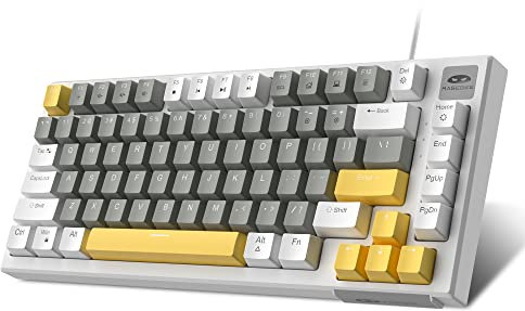 MageGee 81-Key Mechanical Keyboard, Hot-Swappable 75% Gaming Keyboard with Ice Blue Backlit, Anti-Ghosting, Red Switches for Windows Mac PC (White & Gray, Red Switches)