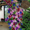 100 Teile/beutel Clematis Samen Gesunde Einfach zu Pflanzen DIY Haus Dekorative Pflanzen Samen Blume Obst Baum Gemüse Samen Gemischte Farbe Clematis-Samen