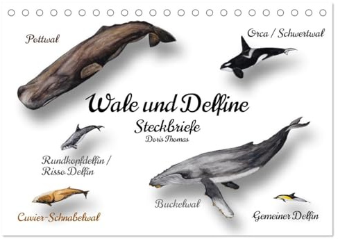 Wale und Delfine Steckbriefe (Tischkalender 2026 DIN A5 quer), CALVENDO Monatskalender: Faszinierende Meeressäugetiere zum Kennenlernen (CALVENDO Tiere)