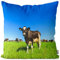 VOID Kuh Gras Kissenbezug Kissenhülle Sofakissen Kissen Deko Outdoor-Kissen Dekokissen, Kissen Größe:50 x 50 cm