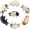 Cat 3D Fridge Magnets, a lazy Sleeping Cat in the Afternoon, Suitable for Whiteboards, Noticeboard, Maps, Calendars, Offices, Home Decoration Refrigerator Magnets, 7pcs