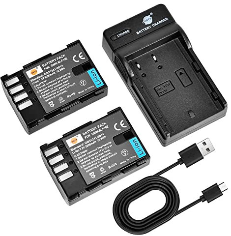DSTE 2PCS DMW-BLF19E DMW-BLF19 Batteries pour Appareil Photo et Chargeur compatibles avec Panasonic Lumix DMC-GH3 DMC-GH3A DMC-GH3AGK DMC-GH3GK DMC-GH4