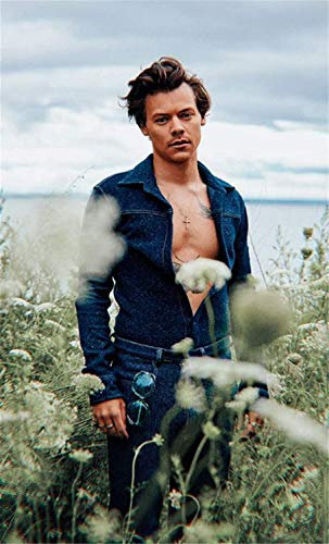 DVBQQWE 5D-Diamant-Malerei-Set für Erwachsene, Harry Styles, Diamant-Kunstmalerei mit Diamanten, DIY-Malset, Malen nach Zahlen mit Edelsteinkunst, 30,5 x 40,6 cm