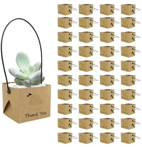 40pcs Succulents Wraps, Thank You Succulent Party Favors with Handles Bulk Gift Bags Fits 2 Inch Pots Decoration Sleeve Tags for Baby Shower Favors Ideas,Kraft Paper(Not Include Plants And Pots)