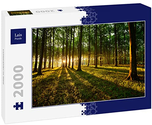 Lais Puzzle Lichtstrahlen im Wald 2000 Teile