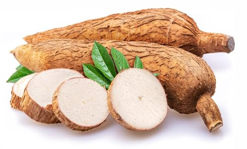 Fresh Cassava I Manihot esculenta I Yuca I Tapioca I 500G