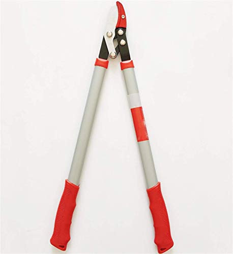 HYEFDWS Cisailles de Jardin Extensibles portatives Cisailles télescopiques en Alliage, sécateurs de Branches de Fruits de Jardinage, Coupe-Branches Grossiers manuels, cisailles à Outils