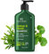 Botanic Hearth Restore & Repair Shampoo – With Tea Tree, Cica, Hyaluronic Acid & Salicylic Acid – Paraben & Sulfate Free – 5-in-1 Care for All Hair Types – 16 fl. oz