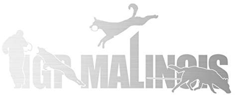 Auto Aufkleber IGP ST Schrift Belgian Malinois Autoaufkleber K9 Hundeanhänger ehemals IPO Hundesport Hundemotiv Silber